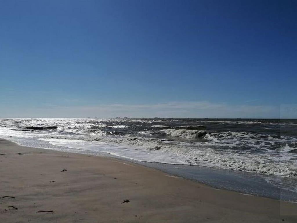Bright Holiday Home In Noordwijk Near Sea المظهر الخارجي الصورة