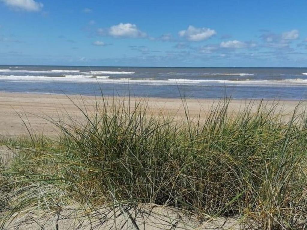 Bright Holiday Home In Noordwijk Near Sea المظهر الخارجي الصورة